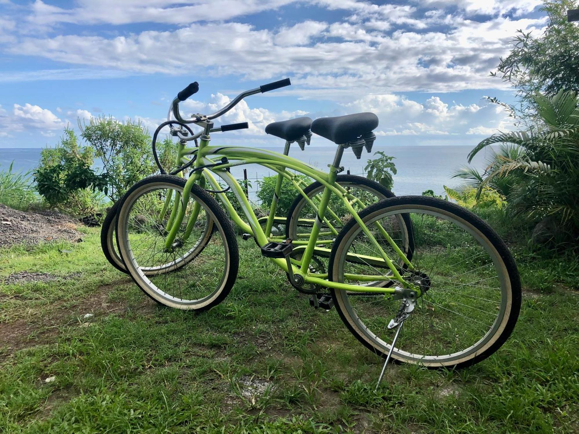 Maui Homestay Vue Ocean Exceptionnelle & Baleines En Saison Tohautu Eksteriør bilde