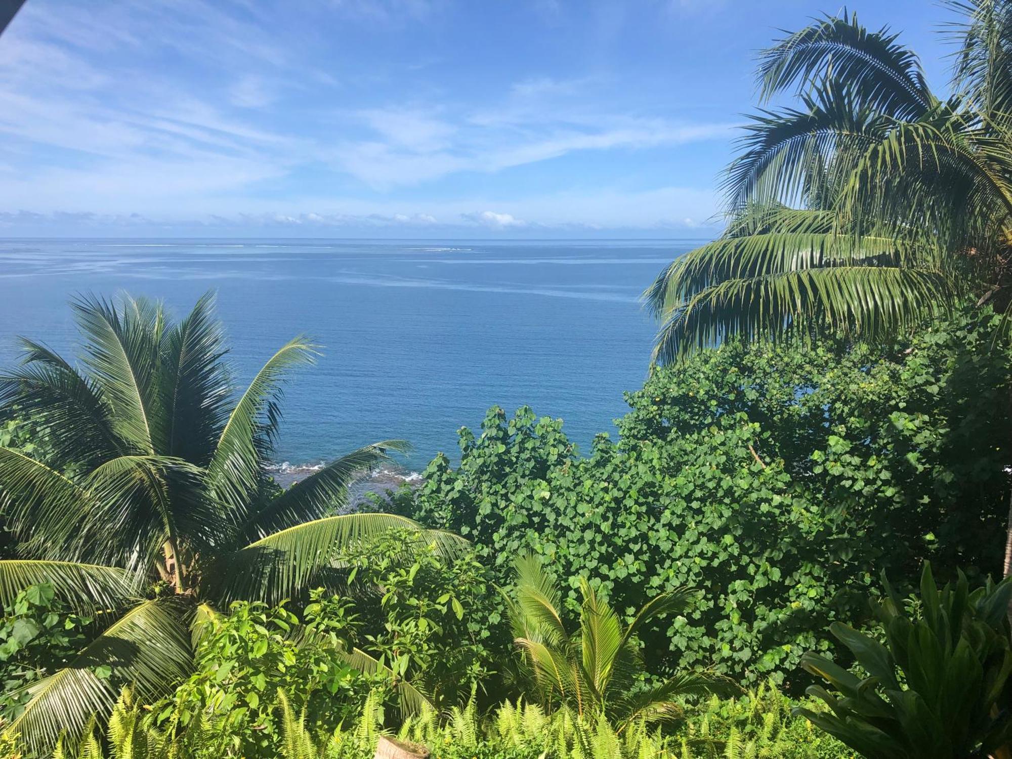 Maui Homestay Vue Ocean Exceptionnelle & Baleines En Saison Tohautu Eksteriør bilde