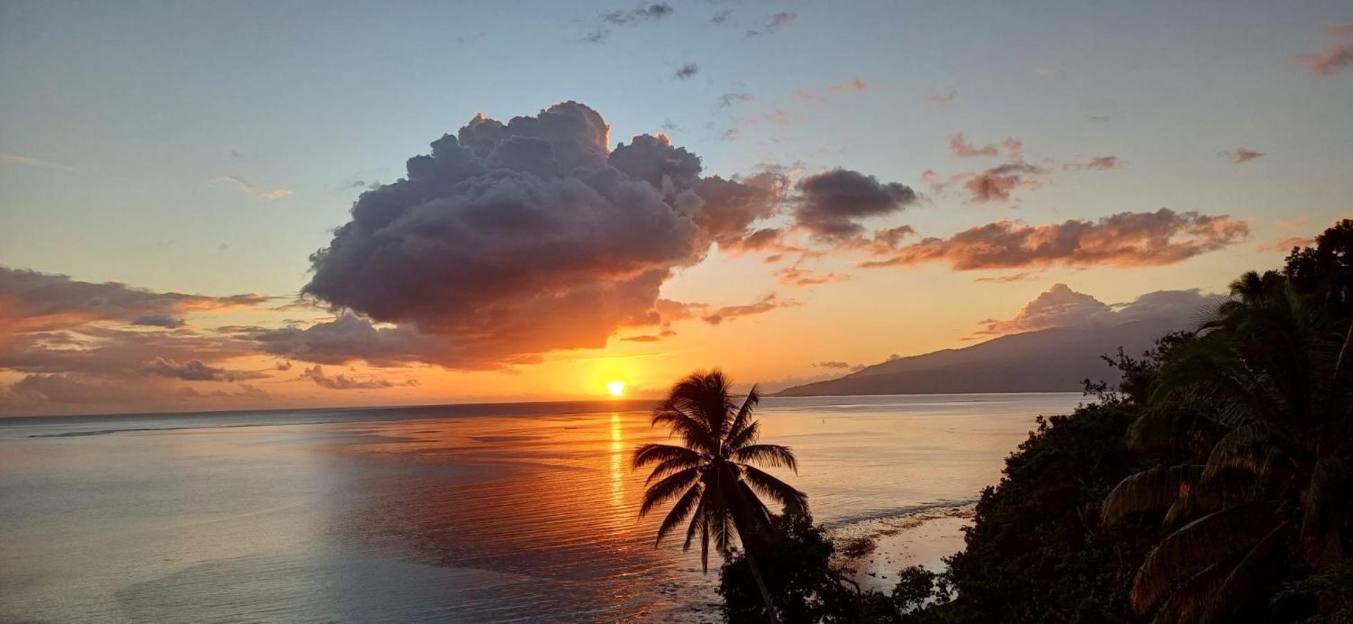 Maui Homestay Vue Ocean Exceptionnelle & Baleines En Saison Tohautu Eksteriør bilde